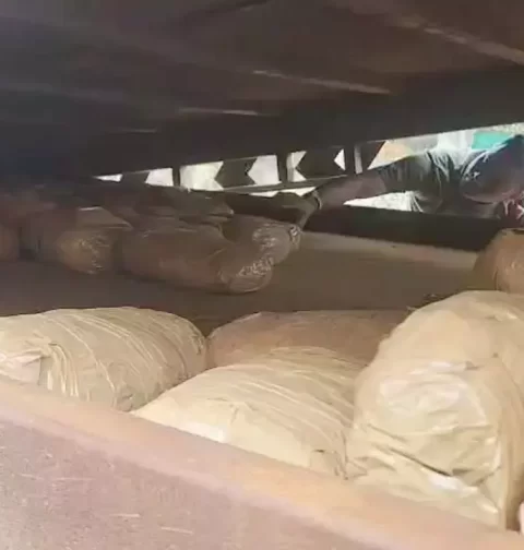 Kabirdham Crime News