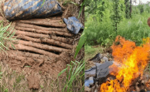 Chhattisgarh Naxal News