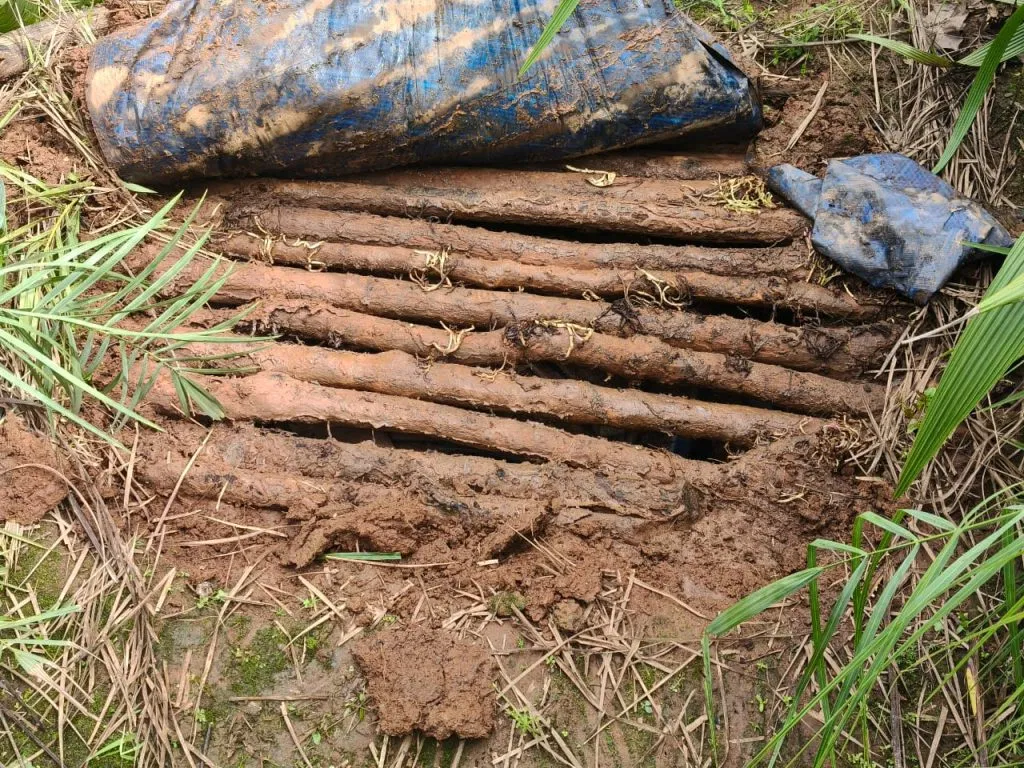 Chhattisgarh Naxal News