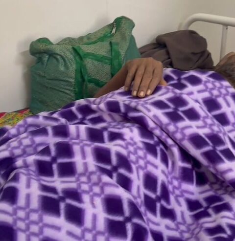 Chhattisgarh elephant terror