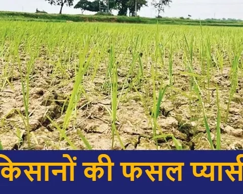 Masthuri Block Farmers