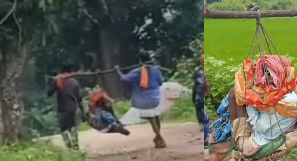 Chhattisgarh Health System