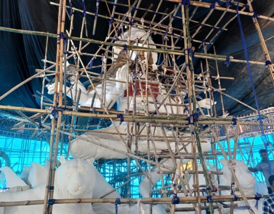 Durga Puja Celebration 2025