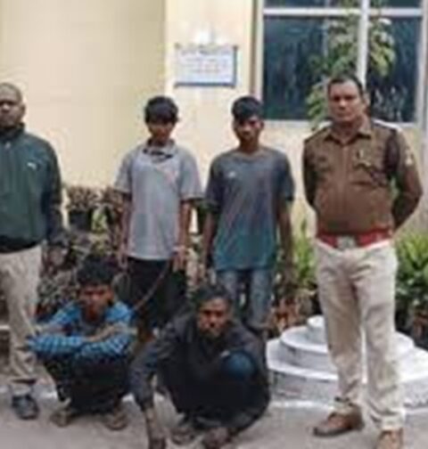 Electricity theft crime