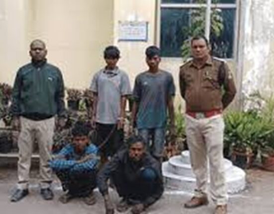 Electricity theft crime